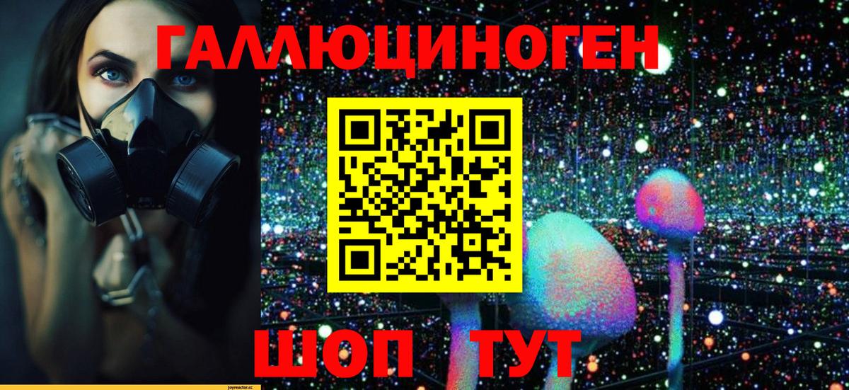 Псилоцибиновые грибы MAGIC MUSHROOMS Саяногорск